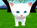 Cutie cat
