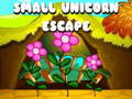 Small Unicorn Escape