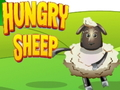 Hungry Sheep