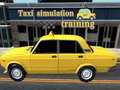 Taxi simulation training