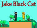 Jake Black Cat