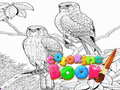 Coloring Book for Adults