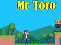 Mr Toro
