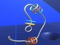 Make Rings Off 
