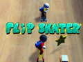 Flip Skater