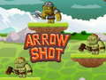 Arrow Shot