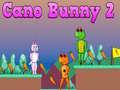 Cano Bunny 2