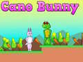 Cano Bunny