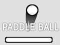PaddleBall