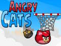 Angry Cats