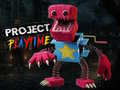 Project Play Time