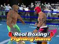 Real Boxing Fighting Game