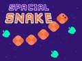 Spacial Snake