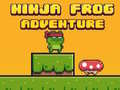 Ninja Frog Runner