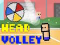 Head Volley