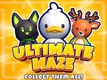 Ultimate Maze! Collect Them All!