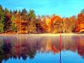 Fishing Simulator Online