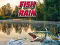 Fish Rain