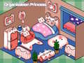 Organization Princess 