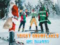 Ski Resort Hidden Snowflakes