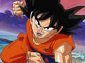 Dragon Ball Treasure Hunter