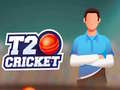 T20 Cricket