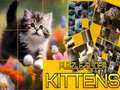 Puzzle Sliding Kittens