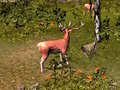 Stag Hunt
