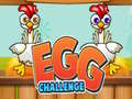 Egg Challenge