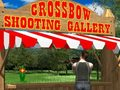 Crossbow Shooting Gallery