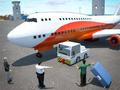 Flight Pilot Airplane