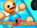 Perfect Snapshot