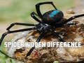 Spider Hidden Difference