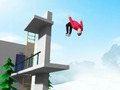 Extreme Flip