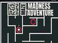 Maze Madness Adventure
