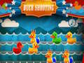 Duck Shooting
