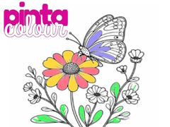 Pinta Colour