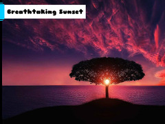 Breathtaking Sunset 