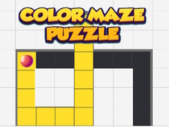 Colored Maze Puzzle