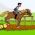 Horse racing Horse racing online