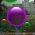 Bubbles  online