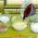 Cooking school Cooking school online
