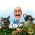 Wonderful garden Wonderful garden online