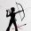 Archer  online