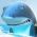 Shark Shark online