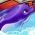 Dolphin Dolphin online