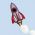 Rocket  online