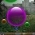 Bubbles  online