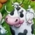 Farmer  online