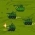 Defense  online
